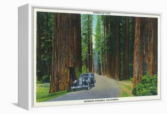 California - Dyerville Flat Scene on the Redwood Highway-Lantern Press-Framed Stretched Canvas