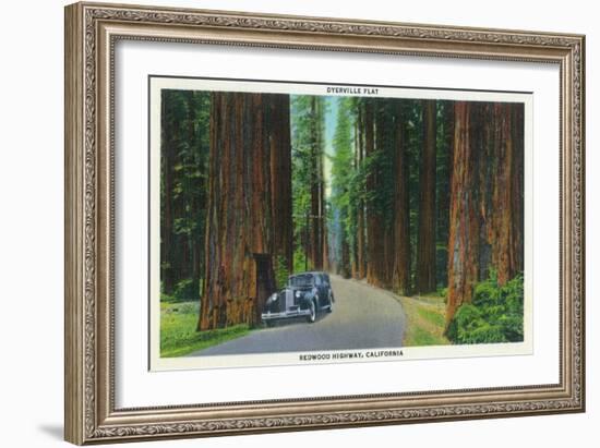 California - Dyerville Flat Scene on the Redwood Highway-Lantern Press-Framed Art Print