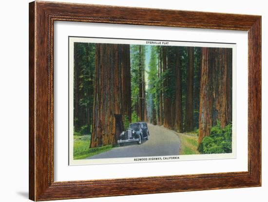 California - Dyerville Flat Scene on the Redwood Highway-Lantern Press-Framed Art Print