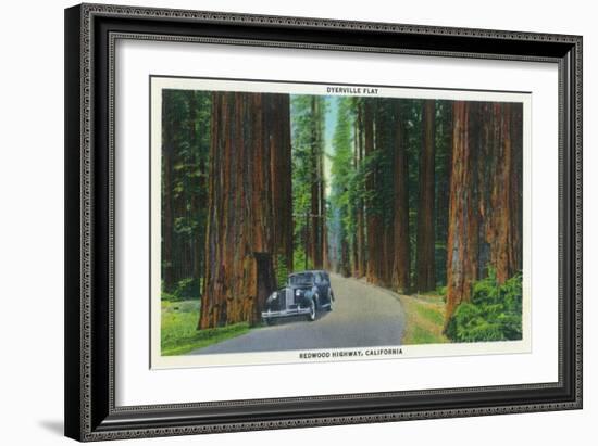 California - Dyerville Flat Scene on the Redwood Highway-Lantern Press-Framed Art Print