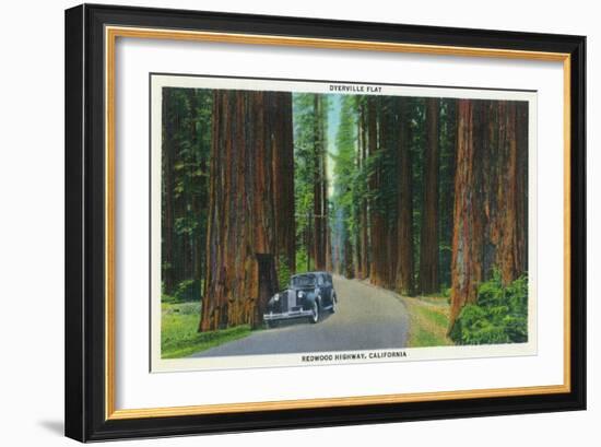 California - Dyerville Flat Scene on the Redwood Highway-Lantern Press-Framed Art Print