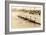 California Eight Oar Rowing Team-null-Framed Art Print