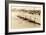 California Eight Oar Rowing Team-null-Framed Art Print