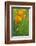 California Golden Poppies in a Green Field-John Alves-Framed Photographic Print