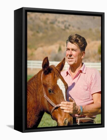 California Governor Candidate Ronald Reagan Petting Horse at Home on Ranch-Bill Ray-Framed Premier Image Canvas