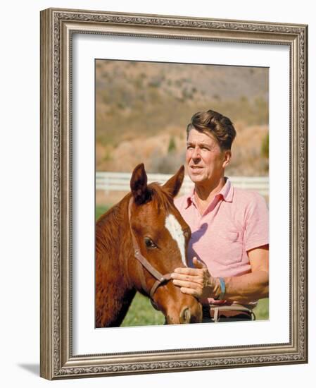 California Governor Candidate Ronald Reagan Petting Horse at Home on Ranch-Bill Ray-Framed Photographic Print