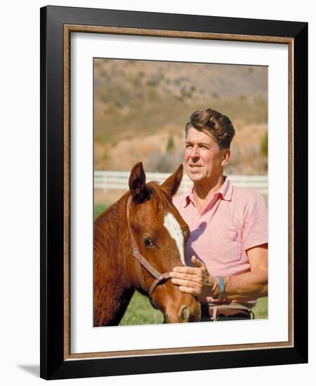 California Governor Candidate Ronald Reagan Petting Horse at Home on Ranch-Bill Ray-Framed Photographic Print