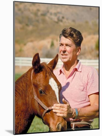 California Governor Candidate Ronald Reagan Petting Horse at Home on Ranch-Bill Ray-Mounted Photographic Print