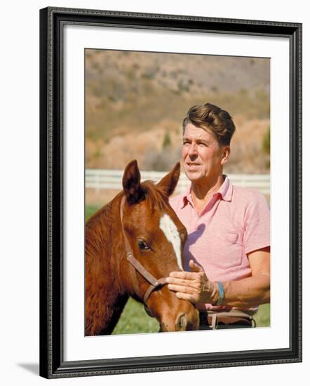 California Governor Candidate Ronald Reagan Petting Horse at Home on Ranch-Bill Ray-Framed Photographic Print