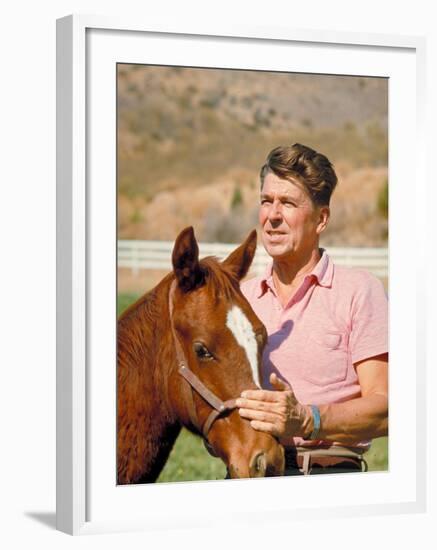 California Governor Candidate Ronald Reagan Petting Horse at Home on Ranch-Bill Ray-Framed Photographic Print