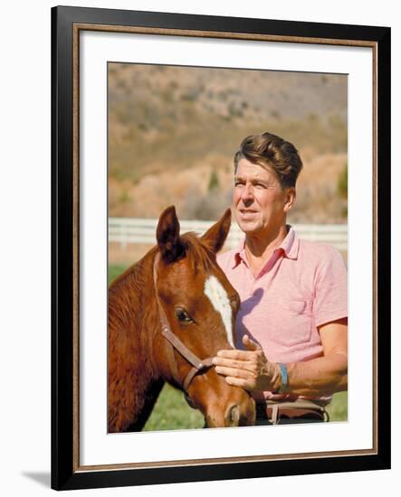 California Governor Candidate Ronald Reagan Petting Horse at Home on Ranch-Bill Ray-Framed Photographic Print