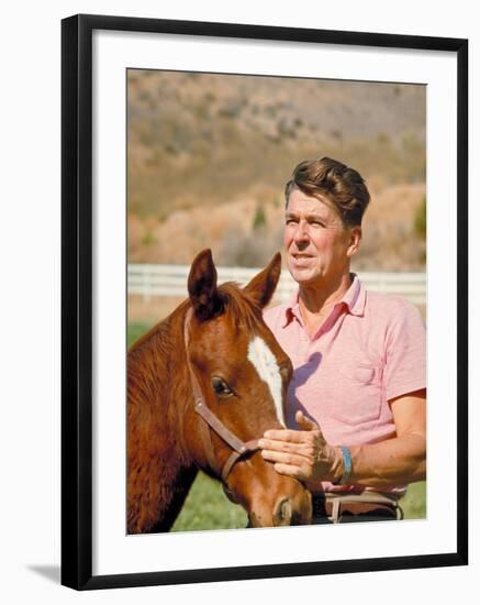 California Governor Candidate Ronald Reagan Petting Horse at Home on Ranch-Bill Ray-Framed Photographic Print