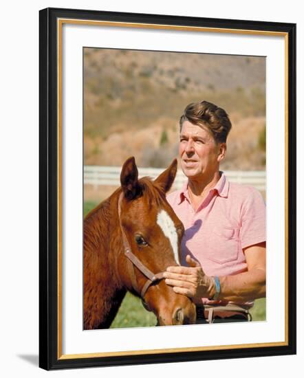 California Governor Candidate Ronald Reagan Petting Horse at Home on Ranch-Bill Ray-Framed Photographic Print