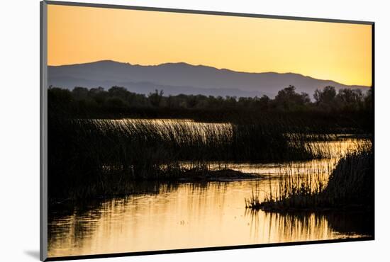 California, Gray Lodge Waterfowl Management Area, at Butte Sink-Alison Jones-Mounted Photographic Print