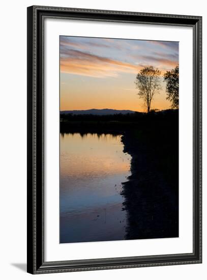 California, Gray Lodge Waterfowl Management Area, at Butte Sink-Alison Jones-Framed Photographic Print