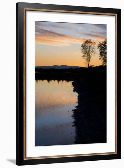 California, Gray Lodge Waterfowl Management Area, at Butte Sink-Alison Jones-Framed Photographic Print