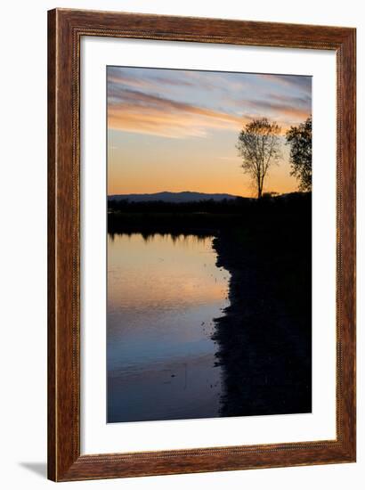 California, Gray Lodge Waterfowl Management Area, at Butte Sink-Alison Jones-Framed Photographic Print