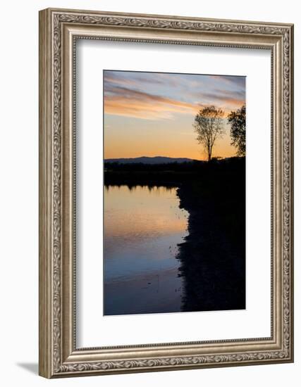 California, Gray Lodge Waterfowl Management Area, at Butte Sink-Alison Jones-Framed Photographic Print