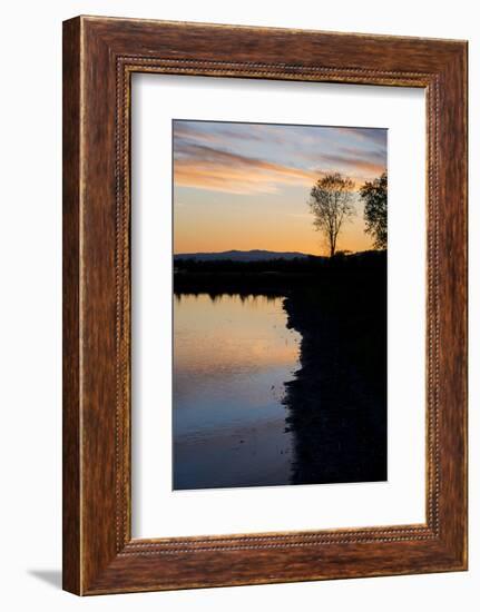 California, Gray Lodge Waterfowl Management Area, at Butte Sink-Alison Jones-Framed Photographic Print