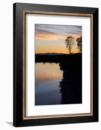 California, Gray Lodge Waterfowl Management Area, at Butte Sink-Alison Jones-Framed Photographic Print