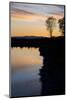 California, Gray Lodge Waterfowl Management Area, at Butte Sink-Alison Jones-Mounted Photographic Print