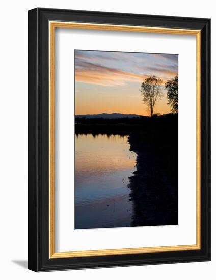 California, Gray Lodge Waterfowl Management Area, at Butte Sink-Alison Jones-Framed Photographic Print