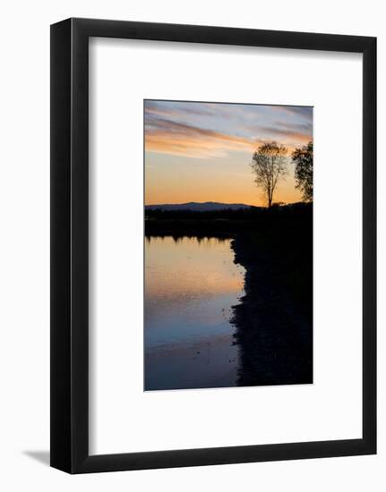 California, Gray Lodge Waterfowl Management Area, at Butte Sink-Alison Jones-Framed Photographic Print