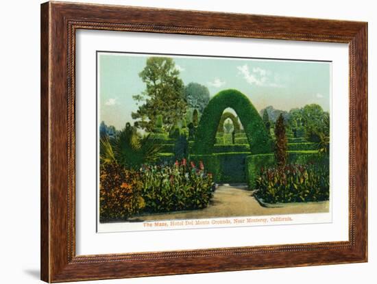 California - Hotel Del Monte View of the Maze Near Monterey-Lantern Press-Framed Art Print