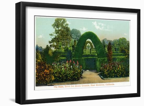 California - Hotel Del Monte View of the Maze Near Monterey-Lantern Press-Framed Art Print