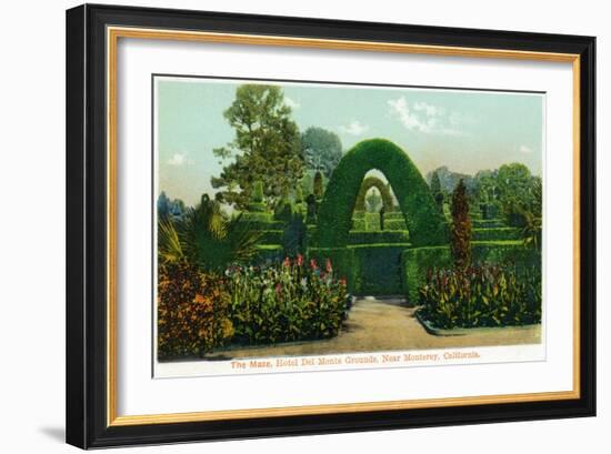 California - Hotel Del Monte View of the Maze Near Monterey-Lantern Press-Framed Art Print