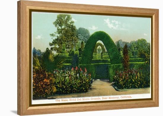 California - Hotel Del Monte View of the Maze Near Monterey-Lantern Press-Framed Stretched Canvas