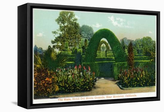 California - Hotel Del Monte View of the Maze Near Monterey-Lantern Press-Framed Stretched Canvas
