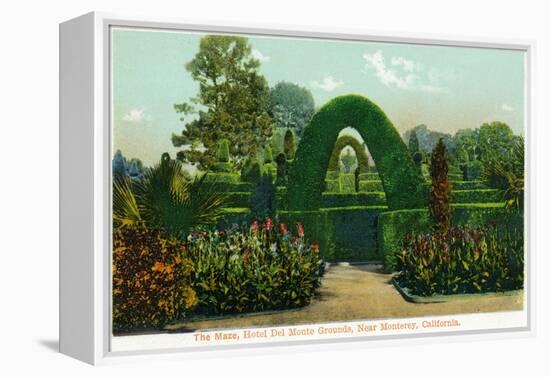 California - Hotel Del Monte View of the Maze Near Monterey-Lantern Press-Framed Stretched Canvas