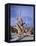 California, Inyo National Forest-John Barger-Framed Premier Image Canvas