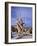 California, Inyo National Forest-John Barger-Framed Photographic Print