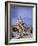 California, Inyo National Forest-John Barger-Framed Photographic Print