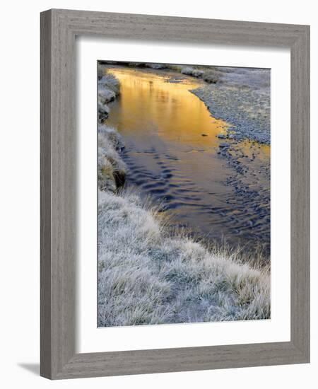 California, Inyo National Forest-John Barger-Framed Photographic Print