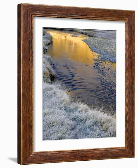 California, Inyo National Forest-John Barger-Framed Photographic Print