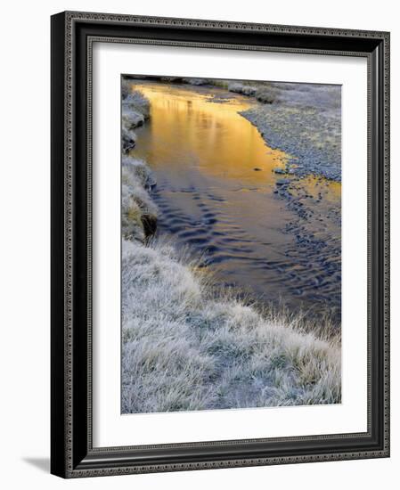 California, Inyo National Forest-John Barger-Framed Photographic Print