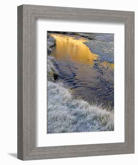 California, Inyo National Forest-John Barger-Framed Photographic Print