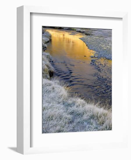 California, Inyo National Forest-John Barger-Framed Photographic Print