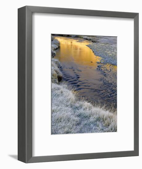 California, Inyo National Forest-John Barger-Framed Photographic Print