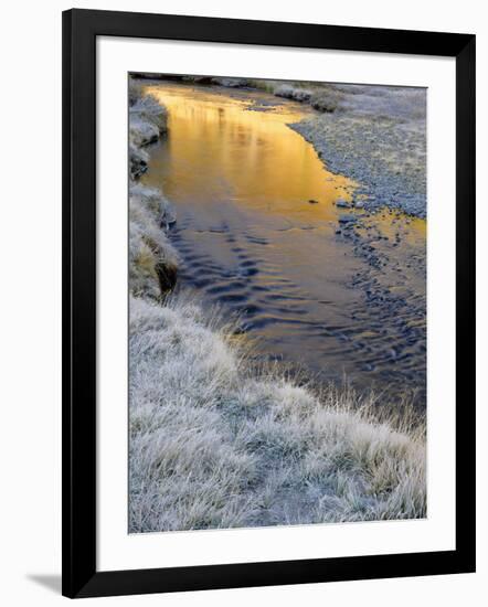 California, Inyo National Forest-John Barger-Framed Photographic Print