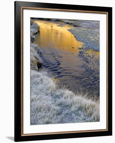 California, Inyo National Forest-John Barger-Framed Photographic Print