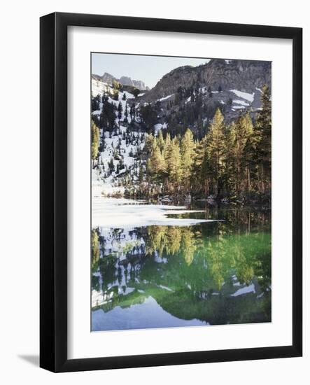 California, Inyo Nf, Emerald Lake in the Mammoth Lakes Basin-Christopher Talbot Frank-Framed Photographic Print