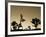 California, Joshua Tree National Park, Joshua Tree, Yucca Brevifolia, in Hidden Valley, Dawn, USA-Walter Bibikow-Framed Photographic Print