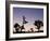 California, Joshua Tree National Park, Joshua Tree, Yucca Brevifolia, in Hidden Valley, Dawn, USA-Walter Bibikow-Framed Photographic Print