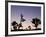 California, Joshua Tree National Park, Joshua Tree, Yucca Brevifolia, in Hidden Valley, Dawn, USA-Walter Bibikow-Framed Photographic Print