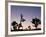 California, Joshua Tree National Park, Joshua Tree, Yucca Brevifolia, in Hidden Valley, Dawn, USA-Walter Bibikow-Framed Photographic Print