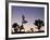 California, Joshua Tree National Park, Joshua Tree, Yucca Brevifolia, in Hidden Valley, Dawn, USA-Walter Bibikow-Framed Photographic Print